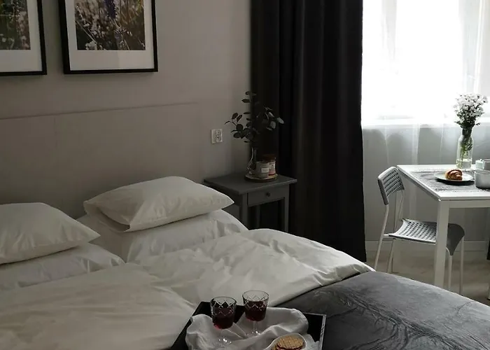 Apartment Glam House Posen