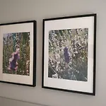 Glam House * Poznań