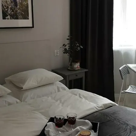 Apartment Glam House Posen