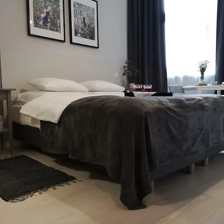 Apartment Glam House Posen
